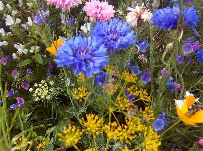 Le Clos Doux Holiday home *